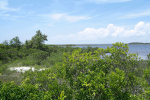 Assateague Island State Park - Maryland and Virginia Atlantic Seashore